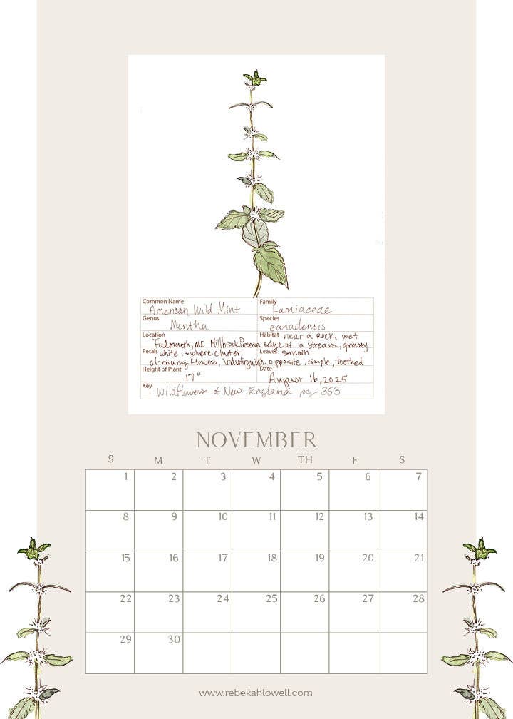 Rebekah Lowell Creative Studio - Wholesale Calendar - 2026 Wildflower Wall Calendar11