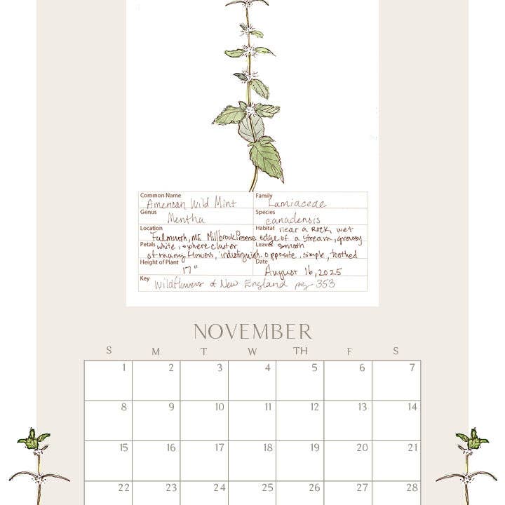 Rebekah Lowell Creative Studio - Wholesale Calendar - 2026 Wildflower Wall Calendar11