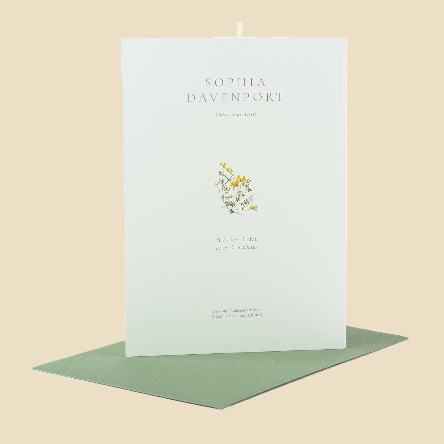 Sophia Davenport - Wholesale Everyday Greeting Card - Wildflower Greeting Cards and Notelets1