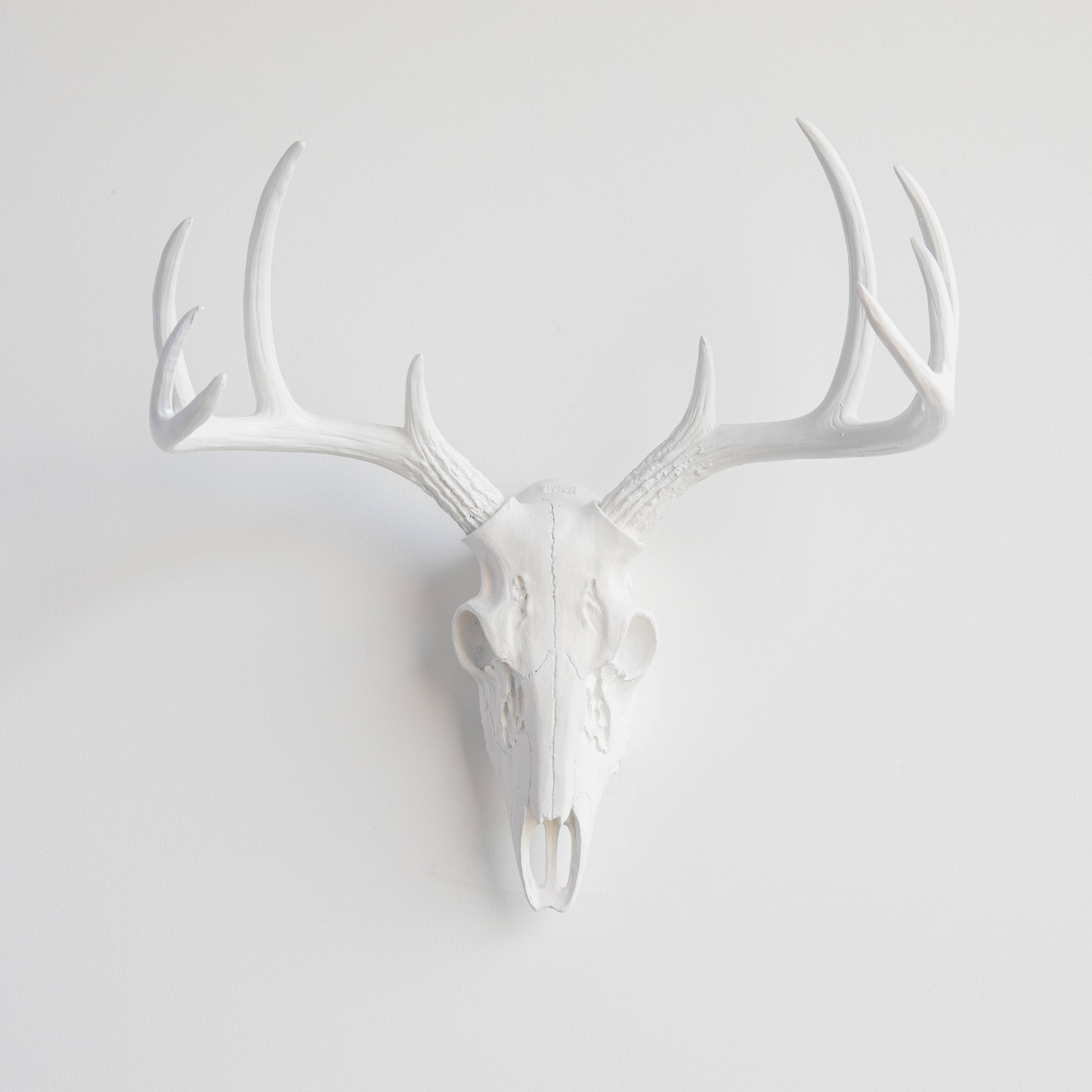 Near and Deer - Wholesale Dimensionele/3D-muurkunst - Faux Mini Buck Skull muursteun0