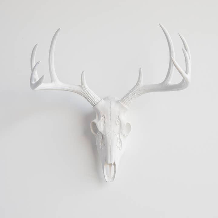 Near and Deer - Wholesale Wall Accent - Faux Mini Buck Skull Wall Mount0