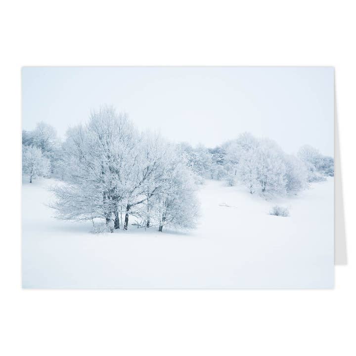 Vikbart "Upphöjd Tystnad" för wholesale av paruspaper. nutzfeine papeterie