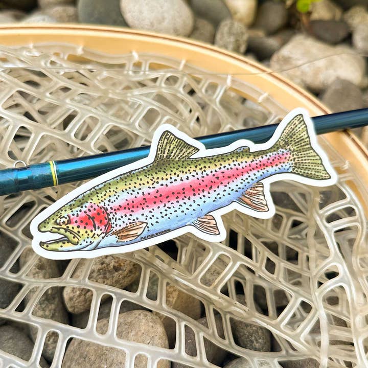 Fly Fish Wyoming - Wholesale Sticker - Trout Species Series - Rainbow Trout Sticker0