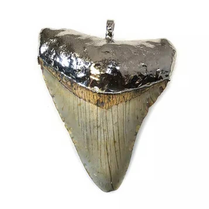 Mega FIN prata 650 por atacado de Fin montauk