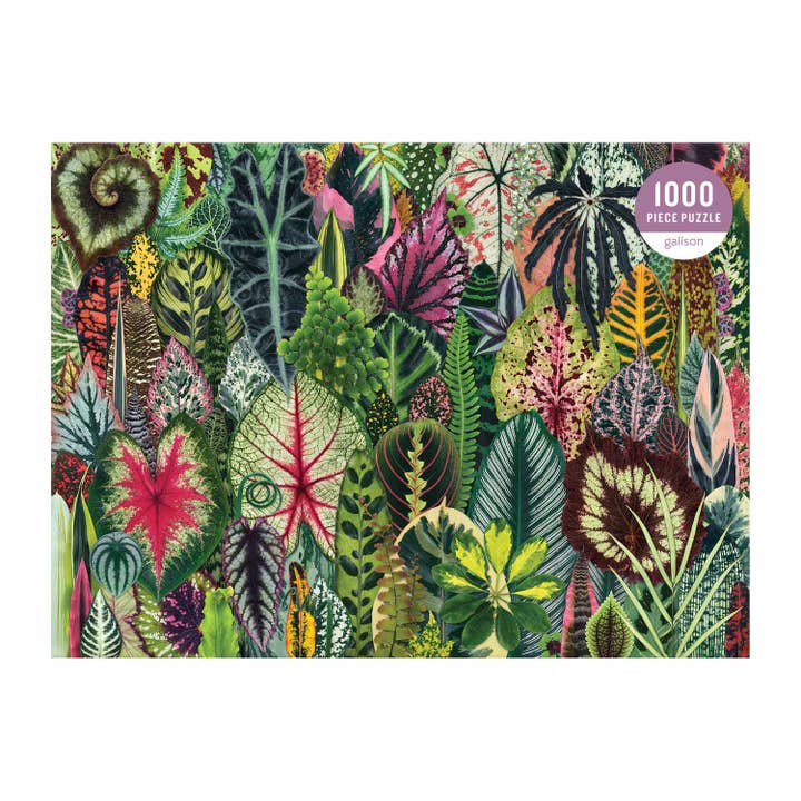Chronicle Books - Wholesale Puzzle - Adult - Houseplant Jungle 1000pc Puzzle2