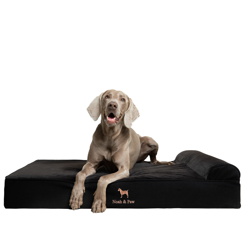 NOAH AND PAW LLC – wholesale Pet bed – Cat/dog – Denim Orthopedic Pet Bed, Memory Foam, Infused with Cooling Gel - Classic2