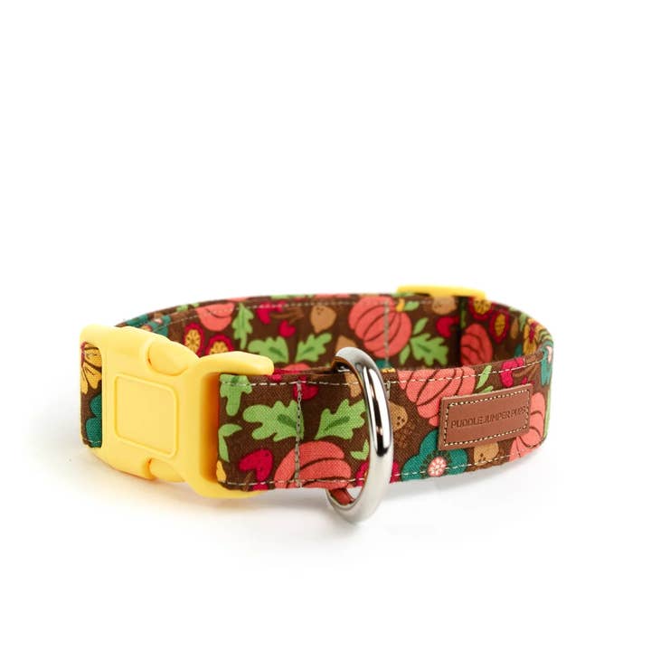 Le Meredith pour la vente par Puddle Jumper Pups