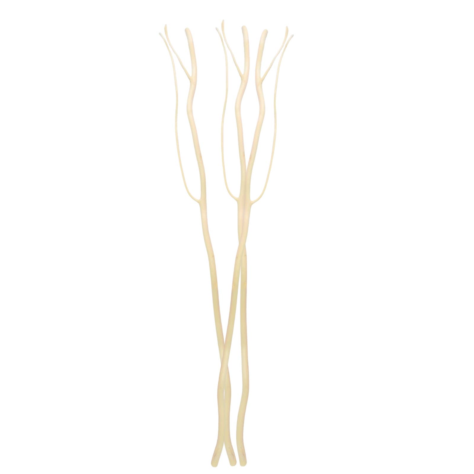 Zen'Arôme - Wholesale Reed Diffuser - Capillarity Diffuser Sticks with branches x 3 - 30cm6
