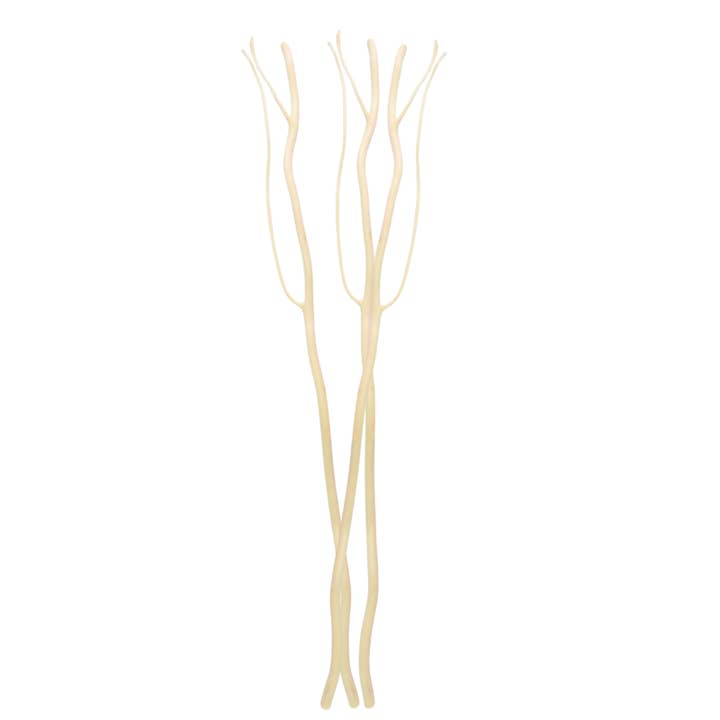 Zen'Arôme - Wholesale Reed Diffuser - Capillarity Diffuser Sticks with branches x 3 - 30cm6