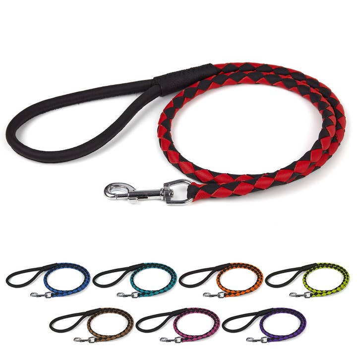 Laisse ronde pour chien en cuir souple bicolore tressée pour la vente par Dogline