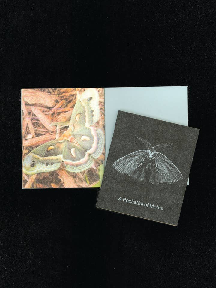 A Pocketful of Moths • Risograph Printed Mini Zine for wholesale by Back of Beyond Press