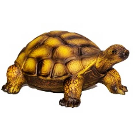 Tortoise M for wholesale by GREEN RUBBER TOY EXPORTS (PVT) LTD