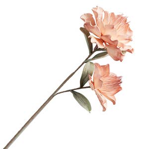 Wholesale Pocket Flower Press - Line for your store - Faire