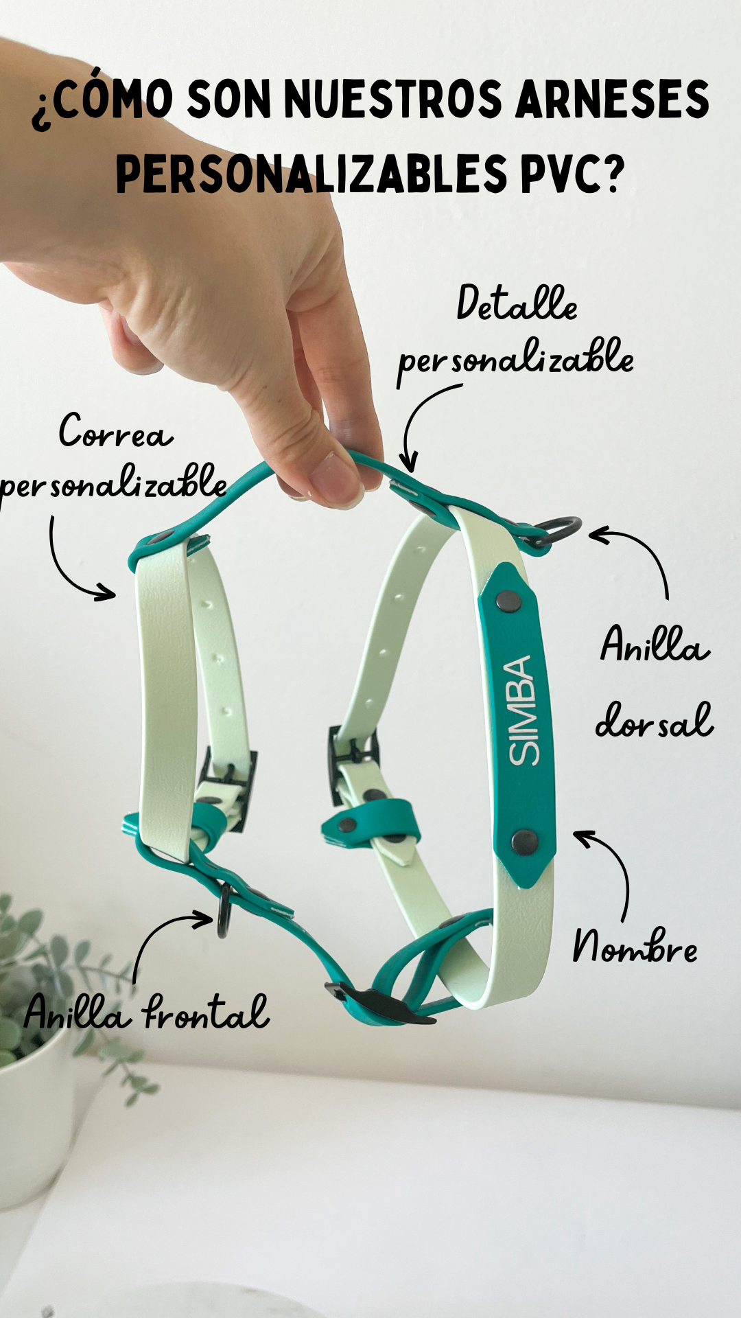 Kina Dogs - Wholesale Pet Harness - Dog - Customizable PVC harness5