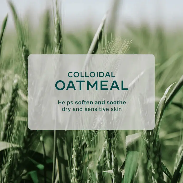 Wotnot Naturals - Wholesale Hair shampoo - 100% Natural Baby Shampoo - Bottle11