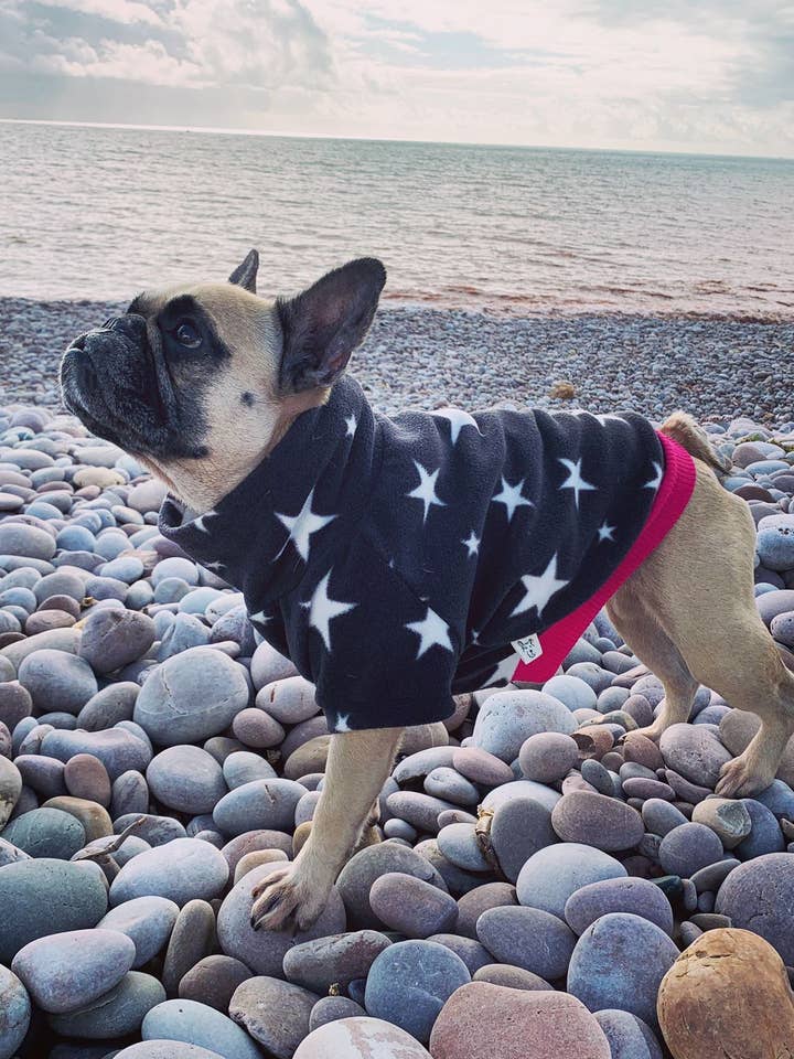 Starboy Fleece for wholesale by Bark Art Ltd