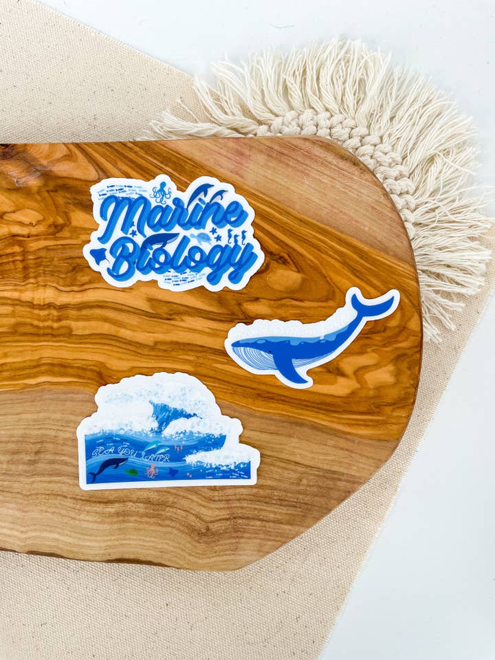 Marine Biology (Clear) Sticker Pack for wholesale by Simply STEM Designs