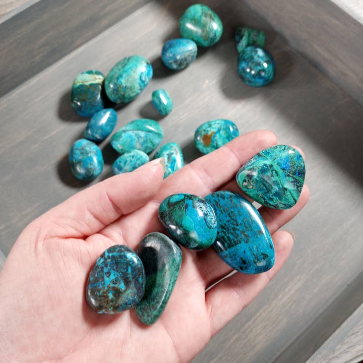 Chrysocolla Tumbled Stone - 1 lb Bulk Lot Premium Wholesale and other Purchase Wholesale chrysocolla. Free Returns & Net 60 Terms on Faire trending on Faire.