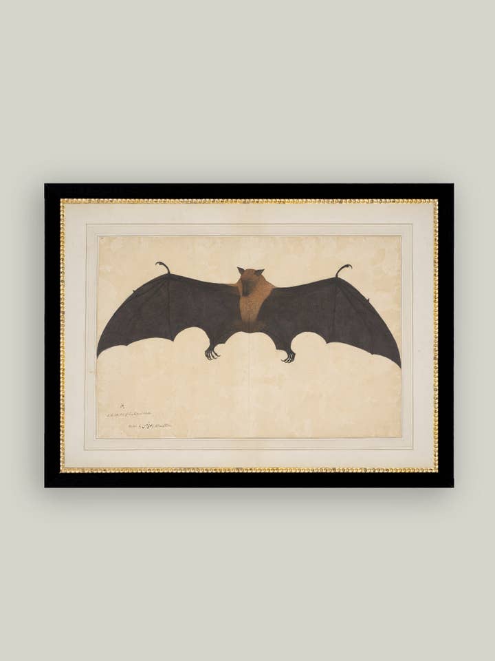 Art ancien encadré Spooky Bat pour la vente par Petal Lane Home
