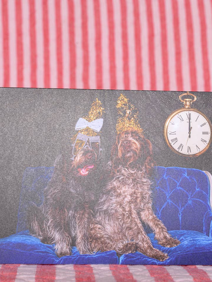 New Years Holiday Card Cute Shaggy Dog Midnight Photography for wholesale by The Velvet Big Top