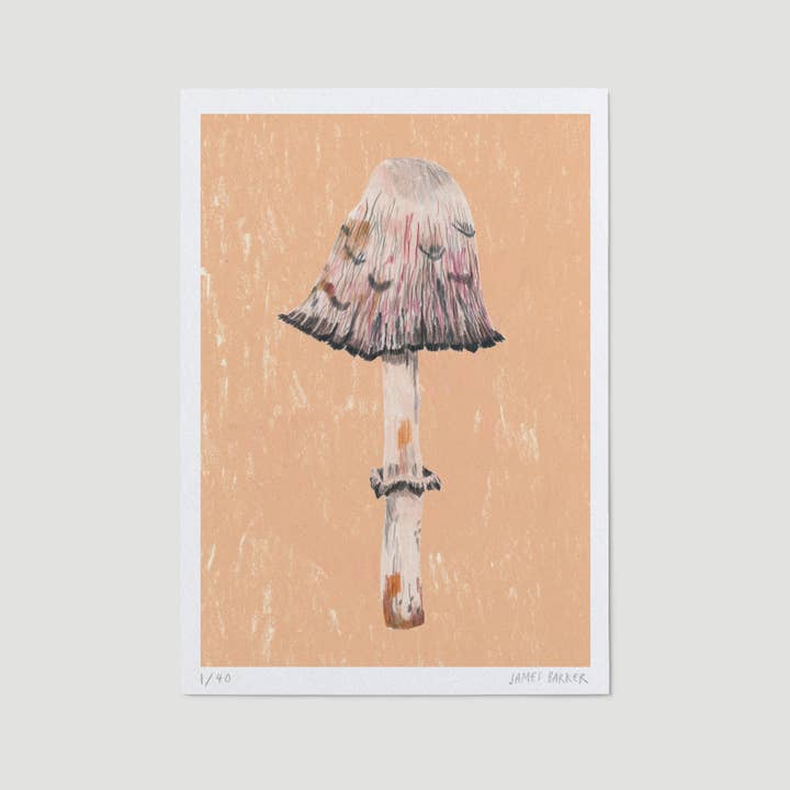 Limited Edition A5 Mushroom Print - Shaggy Ink Cap for wholesale by James Barker