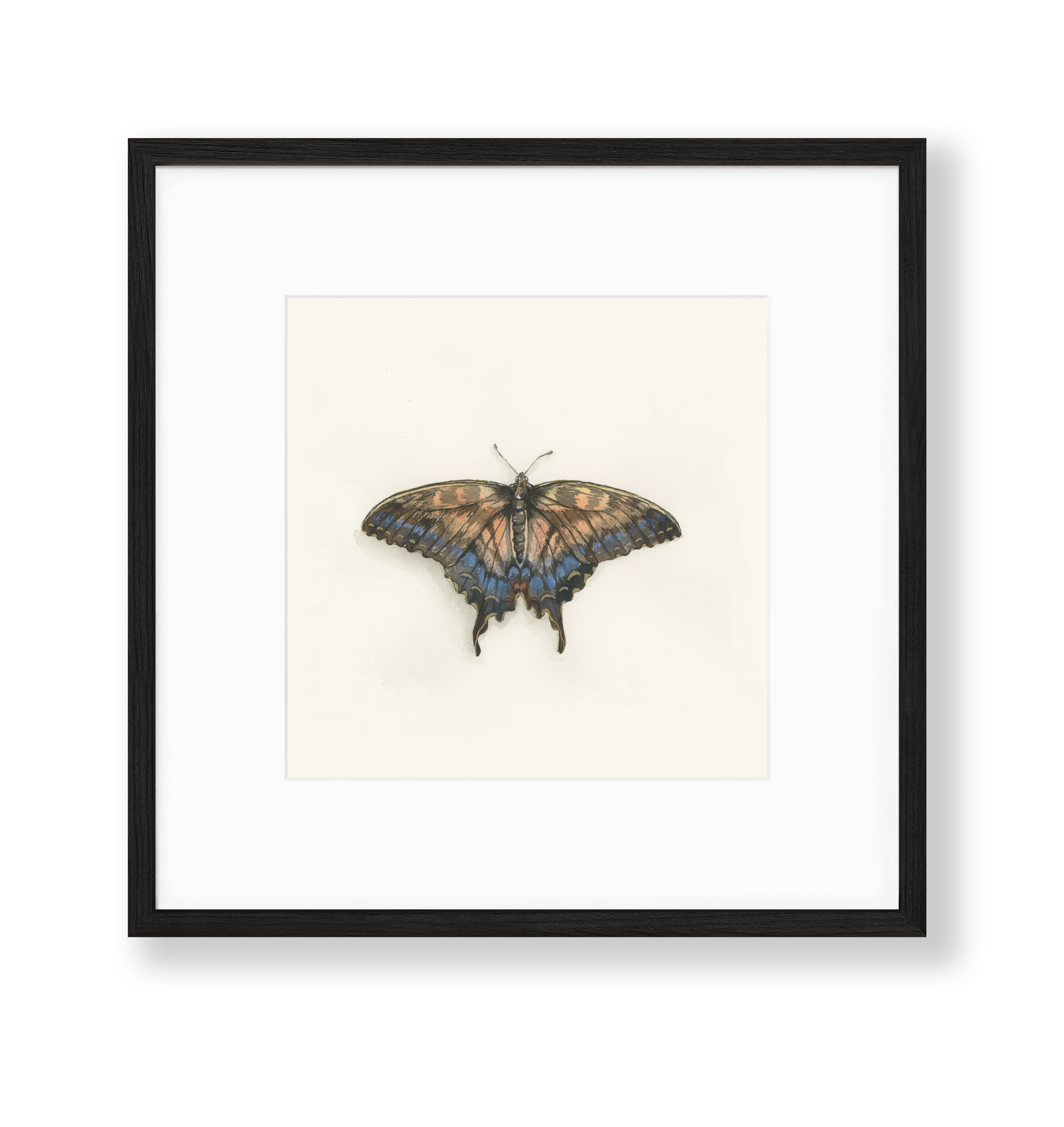 Ciarra Claire - Wholesale Art Print - *Hand Embellished* Swallowtail Butterfly Fine Art Print2