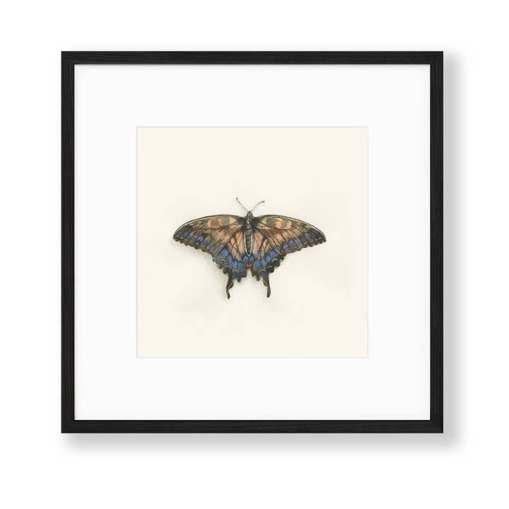 Ciarra Claire - Wholesale Art Print - *Hand Embellished* Swallowtail Butterfly Fine Art Print2