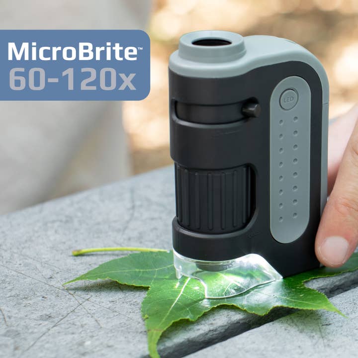 Microscópio De Bolso Microbrite Plus 60X-120X LED por atacado de Carson EU