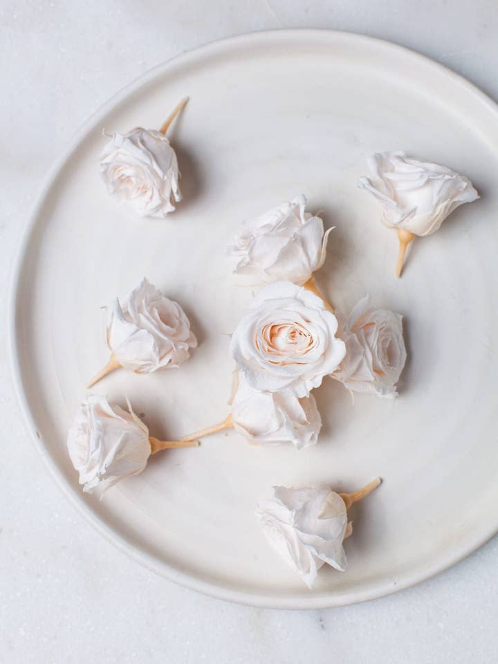 Gepreserveerde Mini Bleekroze Rozen voor wholesale door Idlewild Floral Co.