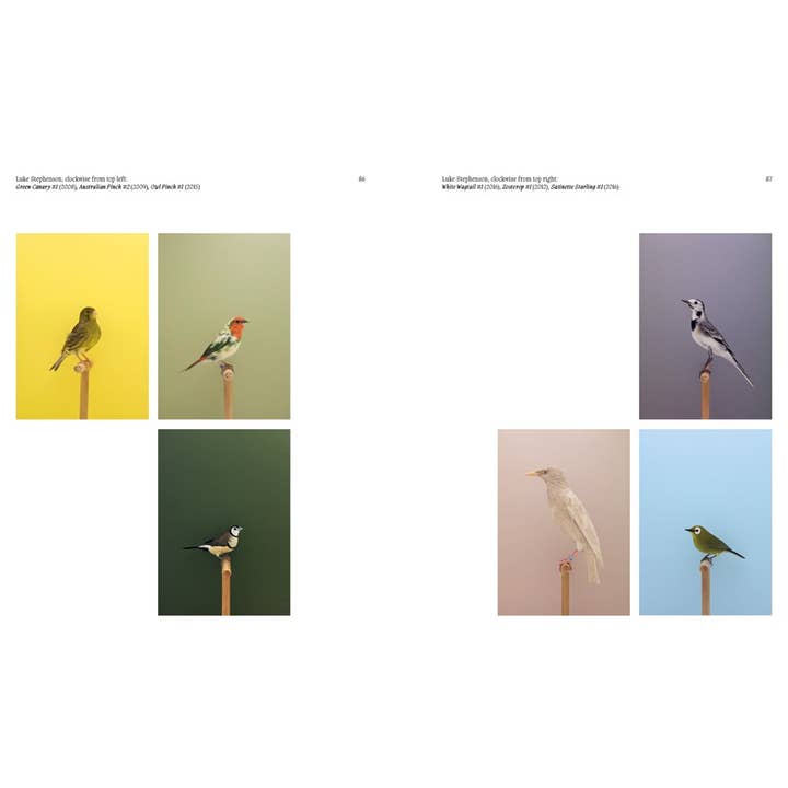 W. W. Norton - Wholesale Display Book - Aviary: The Bird in Contemporary Photography7