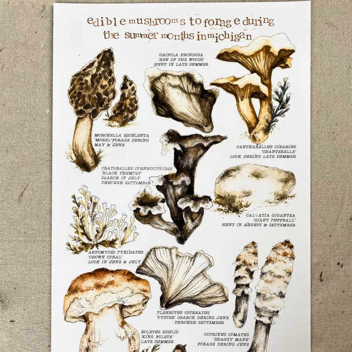 'Champignons Comestibles à Cueillir dans le Michigan' Impression pour la vente par Madison Memering (mamemering)