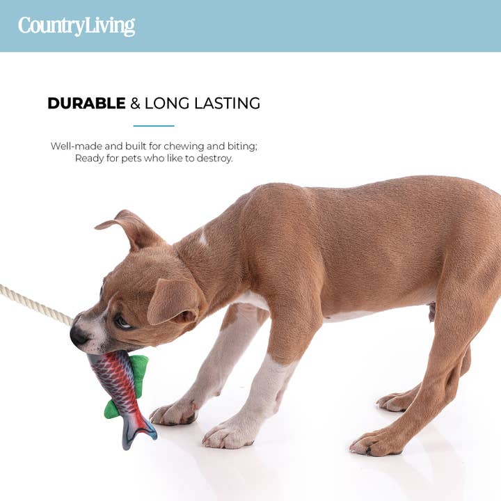 Silver Paw - Vente Set de jouets – chien - Lot de 2 jouets pour chiens Fish & Mason Jar4