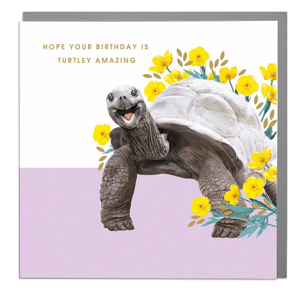 Lola Design Ltd - Wholesale Birthday Card - Turtley Amazing Card0