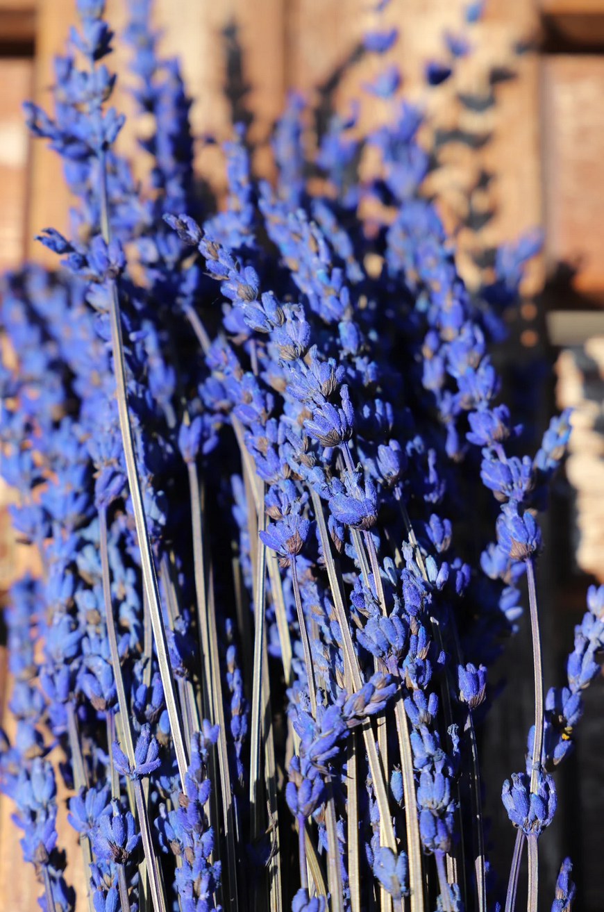 Kunstharz.Art – Flores secas/prensadas por atacado – Lavanda Seca com Aroma Simpático para Decoração e como Presente10