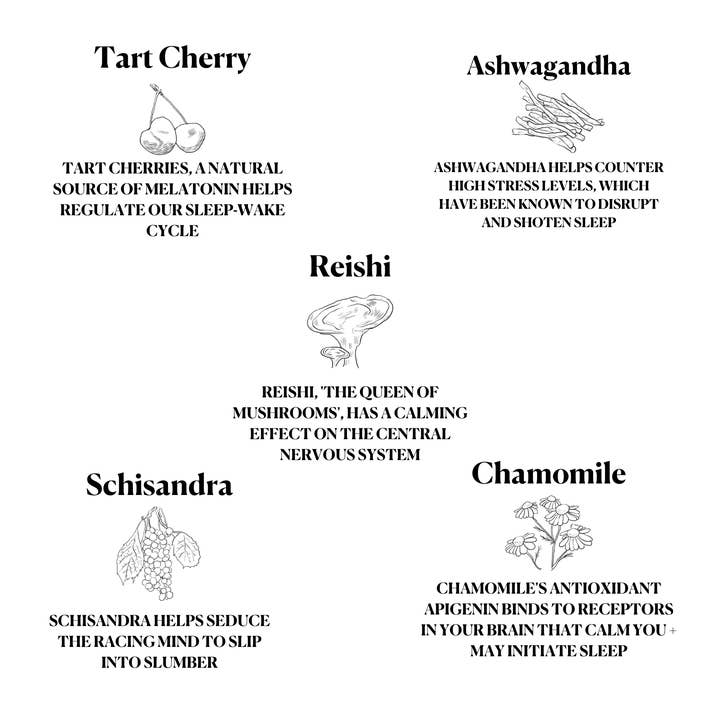 Ritual Powders - Wholesale Hot Cocoa Mix/Kit - Dusk | Mushroom Adaptogenic Hot Chocolate Sleep Support Mix