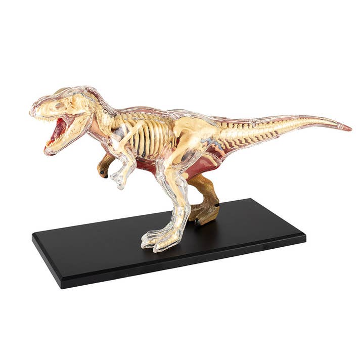 4D T-Rex Vision Model and other Purchase Wholesale rex. Free Returns & Net 60 Terms on Faire trending on Faire.