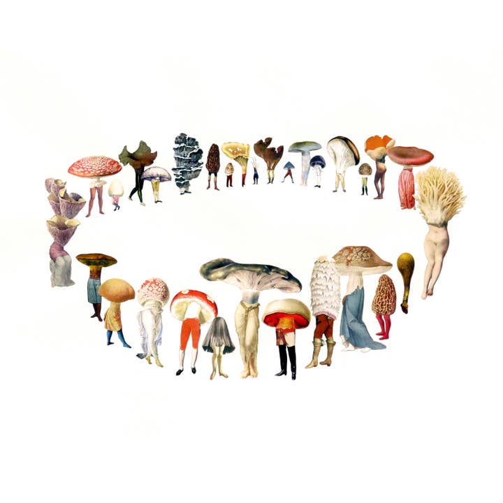 Hamptons Fairy Ring print for wholesale by Nature Morph