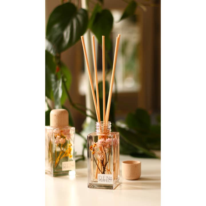 Den Perfect – Engroshandel Duftolie med pinde – Seychellerne Botanisk Reed Diffuser1