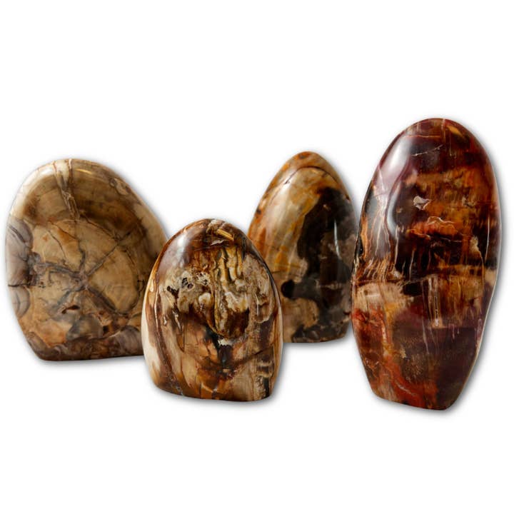 Förstenat trä Fri Form för wholesale av Crystal Magick Wholesale Ltd