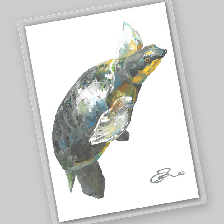 Animals – Pig-nosed Turtle Postcard for wholesale by Eric Hanson Artwork