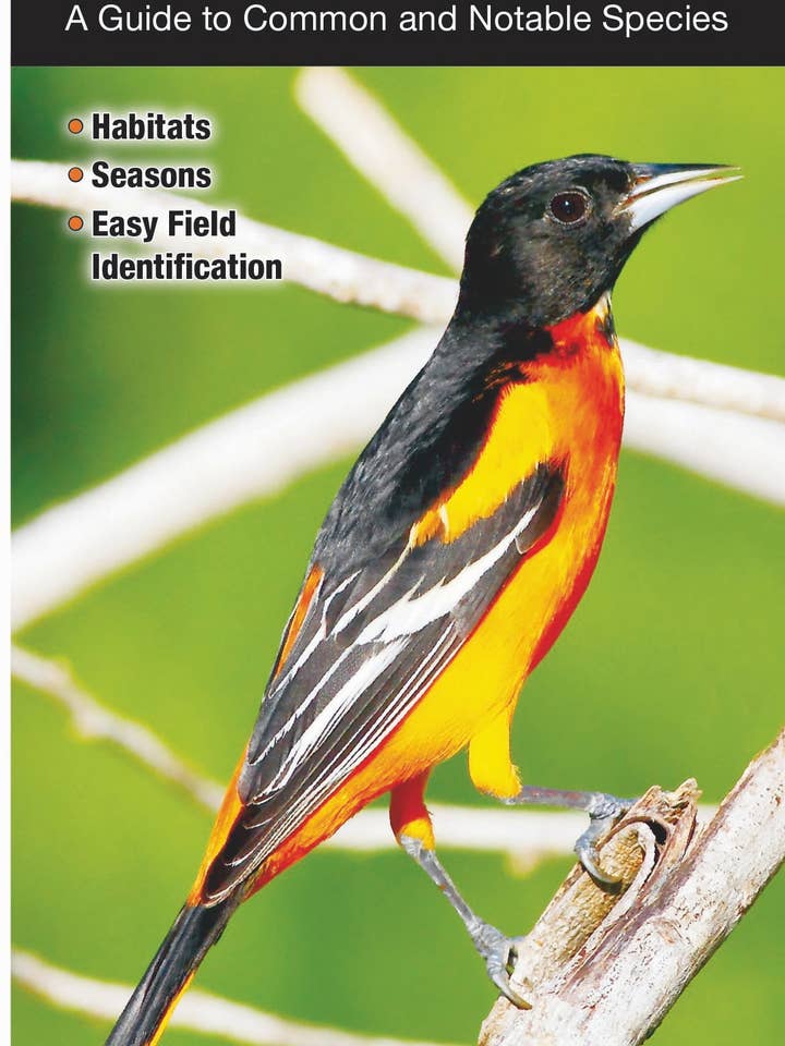 Vögel von Arkansas für den Großhandel von Quick Reference Publishing, Inc