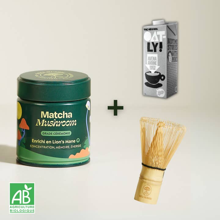 Matcha ai funghi per la vendita all'ingrosso da parte di Holi Mushie