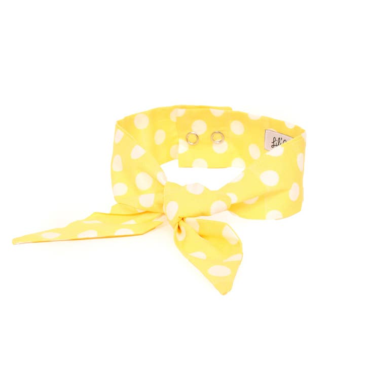 Golden - Frenchie Twist Dog Necktie for wholesale by Lil' Archie's