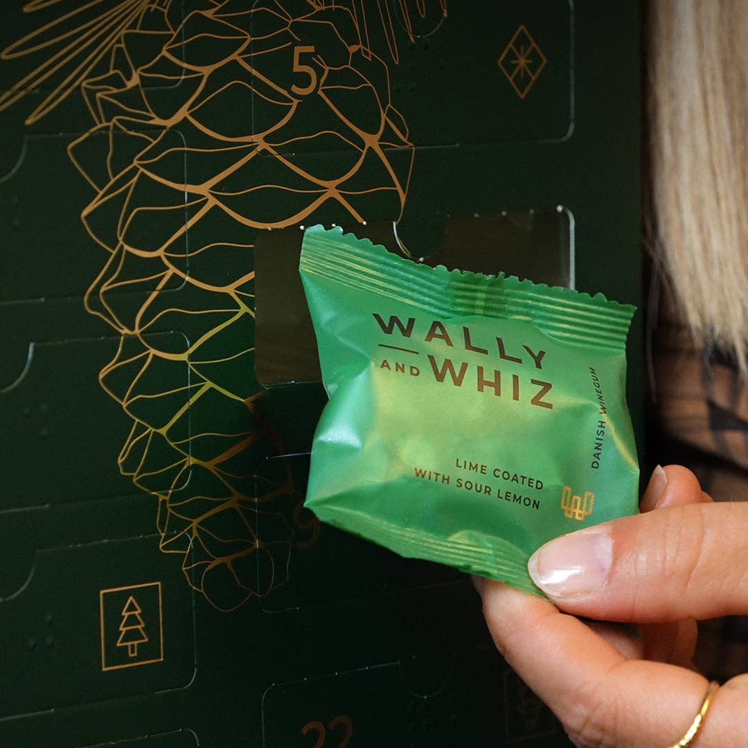 Wally and Whiz - Wholesale Advent Calendar - Advent Calendar 2025, 393g2