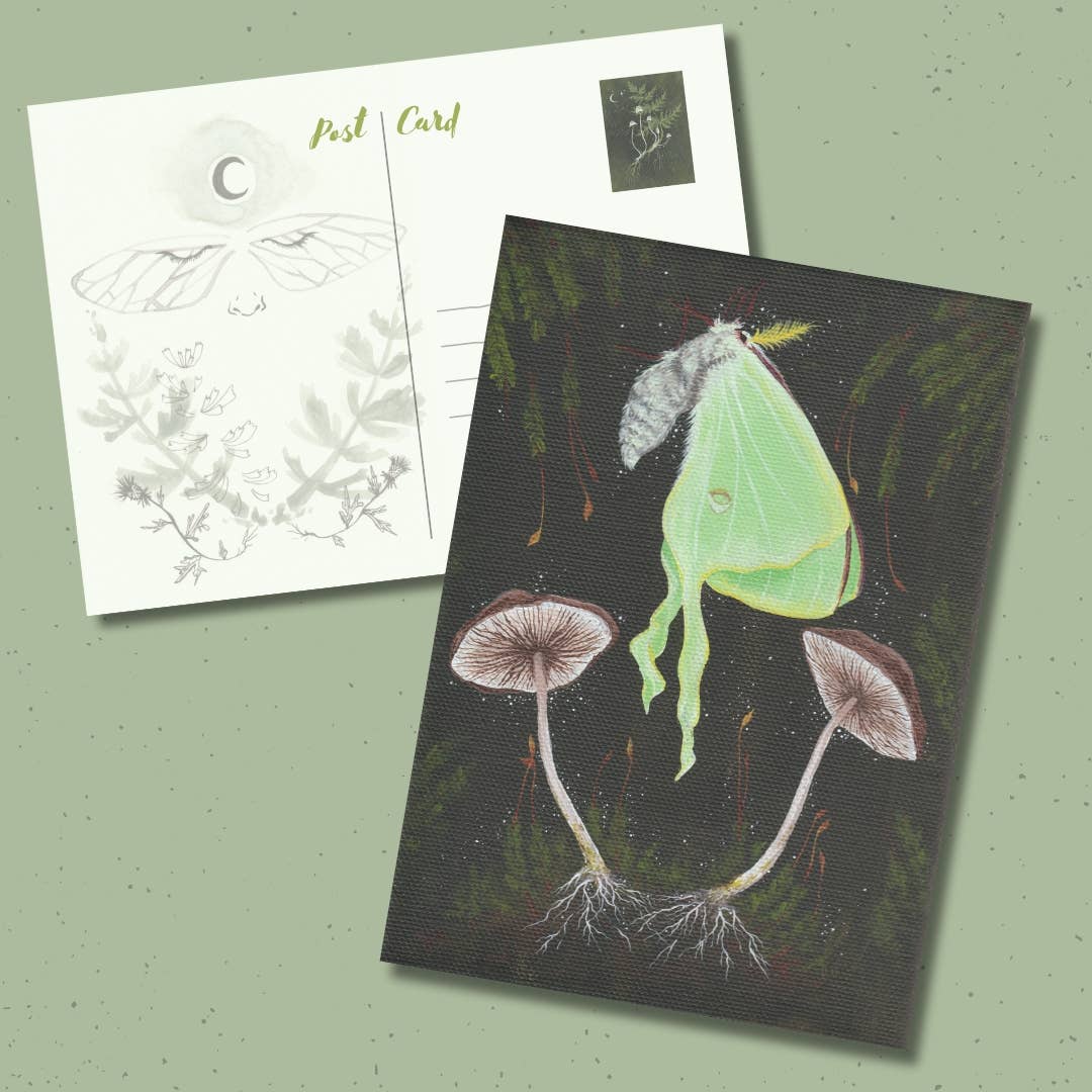 Up Moss Creek Studio - Wholesale Postcard Set - Luna Moth Mini Postcard Print Set7