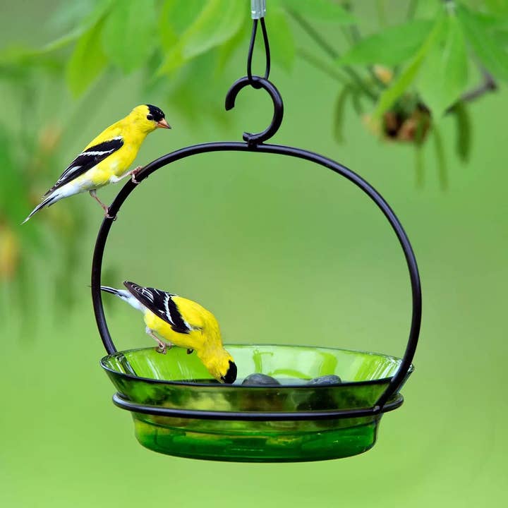 Couronne Co. - Wholesale Bird Feeder - Mosaic Birds Cuban Hanging Bird Bath Or Feeder Lime