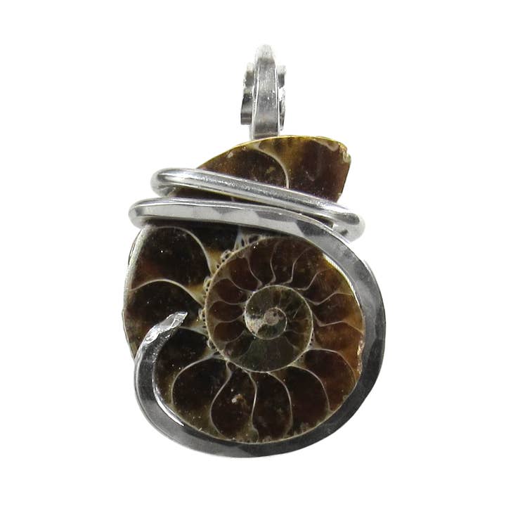 Ammonite Pendant Hand Wrapped in Silver for wholesale by by Isabella Roth