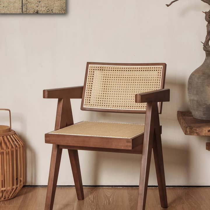 Element Accessories EU - Wholesale Chair - Luxury Edition: chair Pierre Jeanneret walnut + rattan5