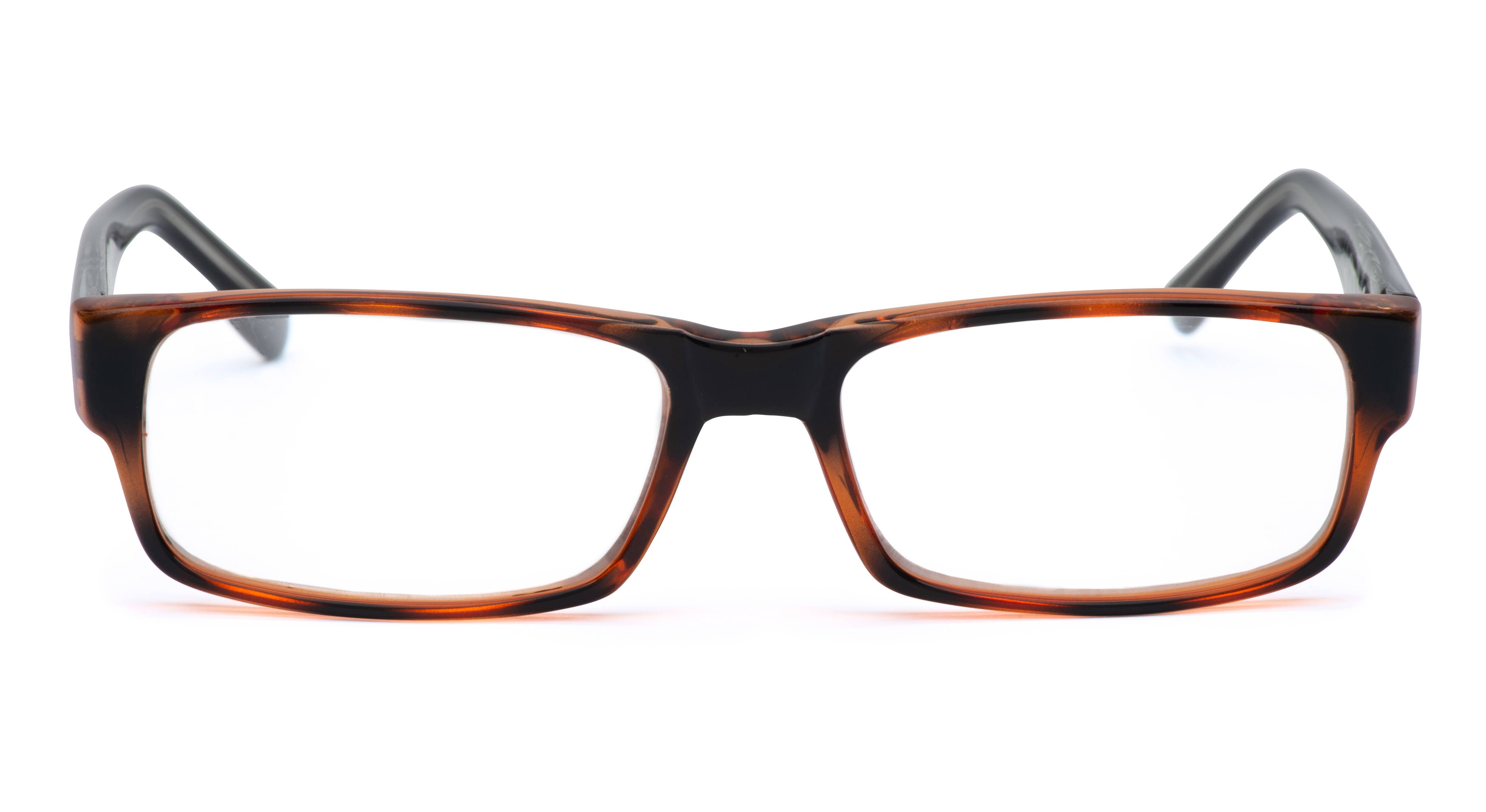 AYA - Wholesale Eyeglasses - Women's - Teagan Reading Glasses - Tortoise/Black1