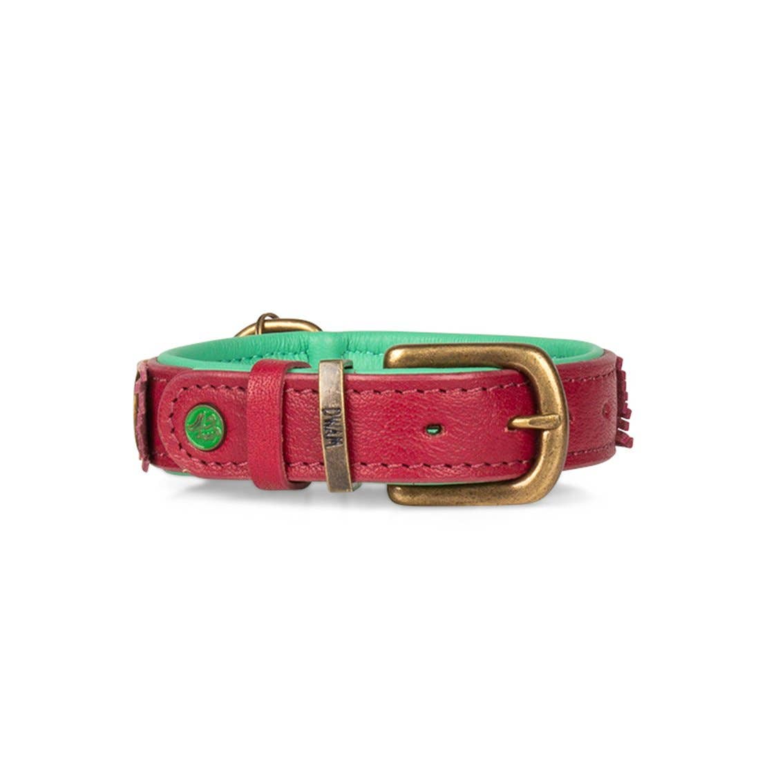 Dog with a Mission - Wholesale Pet Collar - Dog - Lou Lou collar7